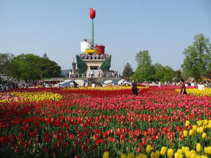 VĂȊȁH