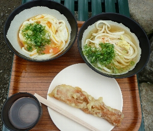 2xڂɍsƂ̃CibvB\450B